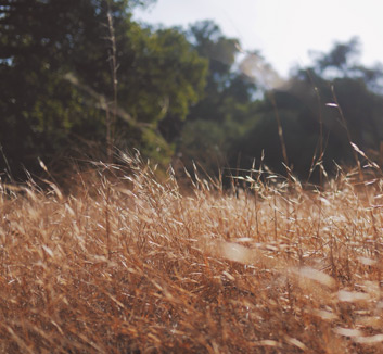 尼日利亚队员奋力抗衡实现突破