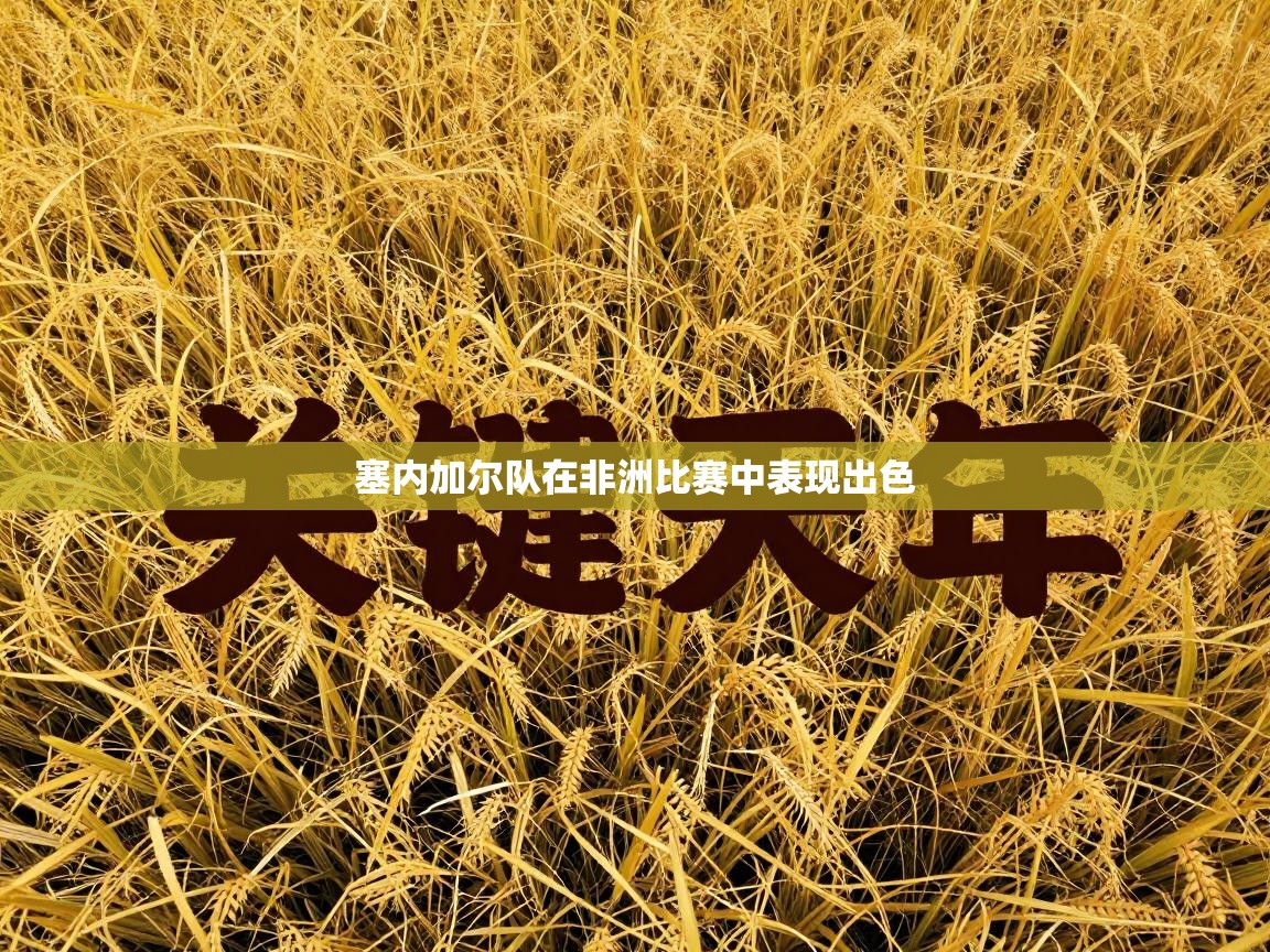 塞内加尔队在非洲比赛中表现出色 第2张